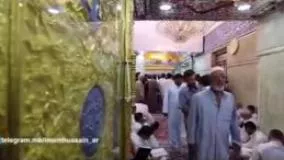 تصاویر حرم امام حسین همراه با صدای حاج محمود کریمی