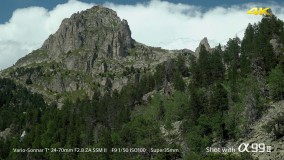 دوربین سونی a99 II