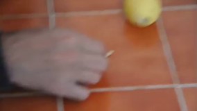 آموزش کاشت گیاه و درخت لیمو با هسته لیمو