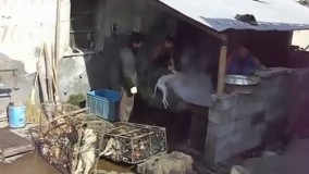 جرات داری نگاه کن !!!!!!!