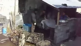 جرات داری نگاه کن !!!!!!!