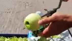 پوست کن جالب سیب