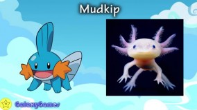 کاراکترهای عجیب بازی های رایانه ای که از طبیعت اقتباس شده اند