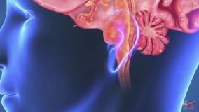 ده کشف علمی بزرگ ۲۰۱۶    