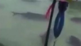 کی جرات داره بپره تو این آب؟! 