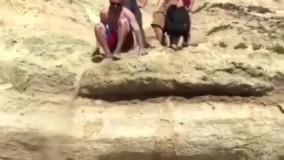 خدابیامرز عاشق اینجور هیجانا بود