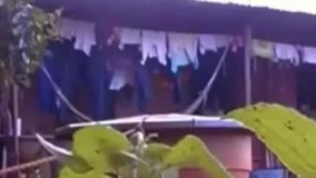 به خدا مردم مریضن..  