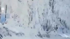 فوق العادس مثه بهشت میمونه