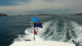 برای اولین بار در تاریخ ویدیویی از یک اژدهای دریایی به ثبت رسید