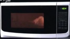 عکس‌العمل جالب شش شیء درون مایکروفر