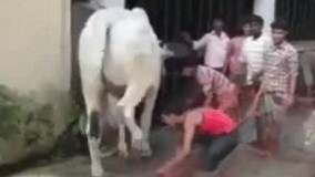 الان کی باید به کی بگه نفهم ????????????