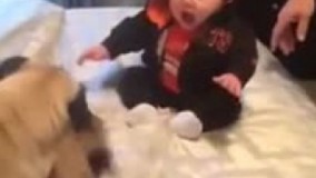 کلیپ خفن و خنده دار بازی سگ با بچه