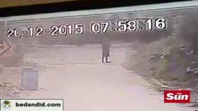 دلهره آورترین ویدئوهای ۲۰۱۶ که شخصیت های اصلی آن ها یک قدم با مرگ فاصله داشته اند.