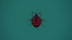 طول عمر موجودات