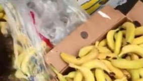 کمک رسانی مردم به امدادگران پلاسکو با خوراکی