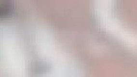 شکار مار توسط عنکبوت های غول پیکر