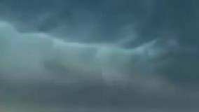 آخرین تیزر فیلم شیر شاه ( 2017 ) جدید 