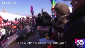 حراج غول ماهی در چین