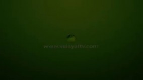 ماسک طبیعی صورت