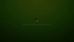 درمان خارش کل بدن به دلیل حرارت اضافه