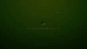 درمان التهاب معده