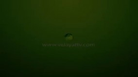 مسکن طبیعی برای درد شکم