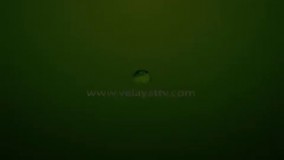 درمان ضعیفی معده