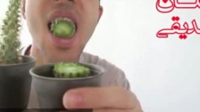 کلیپ خیلی عجیب از خوردن کاکتوس توسط یک ایرانی! ( حتما ببینید )