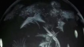 تصاویری زیبا از حباب های یخ زده