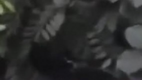 موجودی عجیب و ترسناک