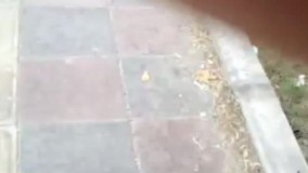 خودروی لوکس