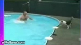 سگ خیلی باحال