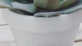 گاهی با ساده ترین روش نتیجه ای خاص میگیرید  