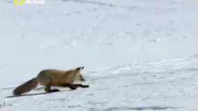 تاثیر مواد سنتی و صنعتی!!!