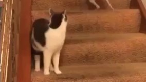 یکی زد تو سرش کلا سیستم مغزیش به هم ریخت 