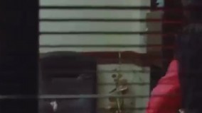 دانلود فیلم 12 دوازده صندلی