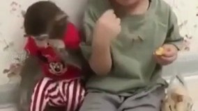 فقط شلوار میمونه