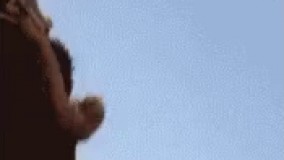 از زن و بچه من فیلم نگیر عوضی