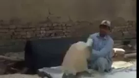 نان لواش اصلی