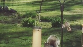 خوب بزار بدبخت اب بخوره مگه مرض داری 