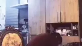 دابسمش خنده دار و باحال از سریال شهرزاد ...