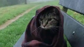 وقتی هوا سرده و تو پارک قرار داری 