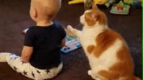 وقتي اذیتش کردیو ميخواي از دلش دراري