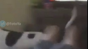 اسکل تر از این ندیدم خدایی