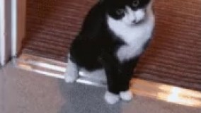 چرا می ترسونیش!!  گناه داره