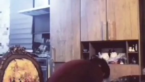 اين دابسمش عالى بود از سريال شهرزاد