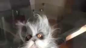 وقتی یهو از خواب پا میشی نمیدونی تو چه سالی هستیم