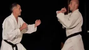 KARATE SELF DEFENSE.mp4