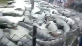  تا تو باشی از این گنده بازیا در نیاری????????