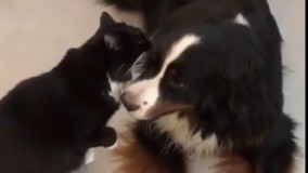 بیا یه رازیو بهت بگم..